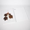CREATIVE NOTEBOOK - Image 2